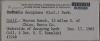 Image Associated With the Occurence